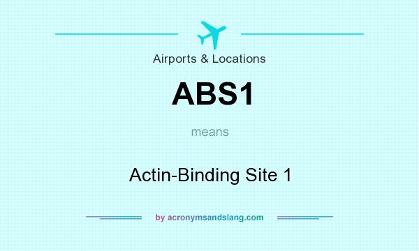 What does ABS1 mean? It stands for Actin-Binding Site 1
