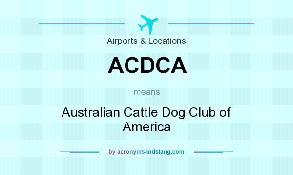What does ACDCA mean? It stands for Australian Cattle Dog Club of America