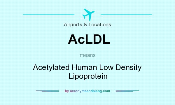 What does AcLDL mean? It stands for Acetylated Human Low Density Lipoprotein