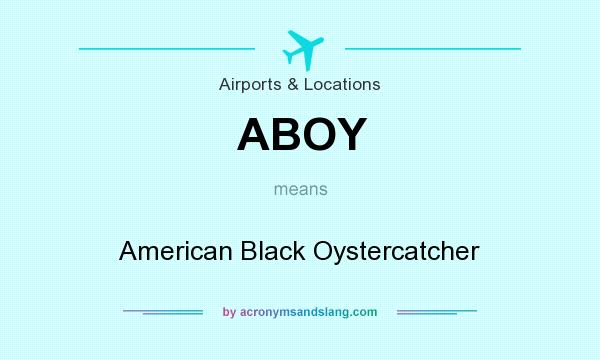 What does ABOY mean? It stands for American Black Oystercatcher