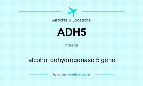 What does ADH5 mean? It stands for alcohol dehydrogenase 5 gene
