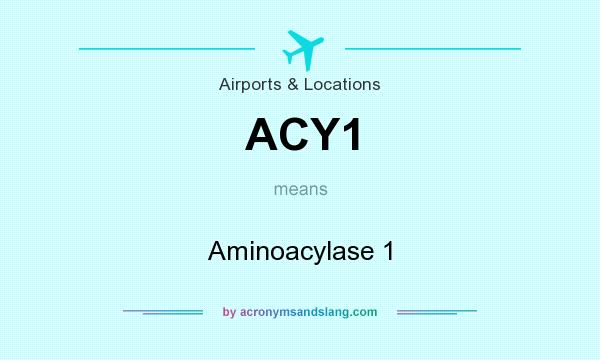What does ACY1 mean? It stands for Aminoacylase 1
