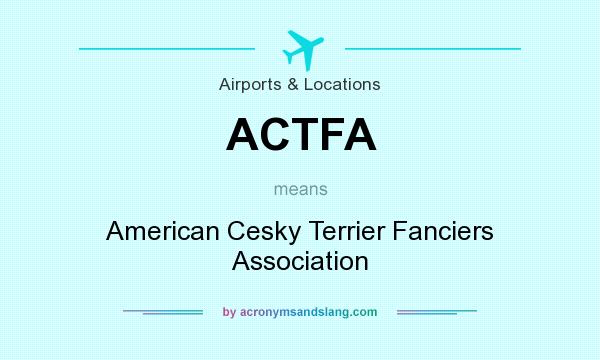 What does ACTFA mean? It stands for American Cesky Terrier Fanciers Association