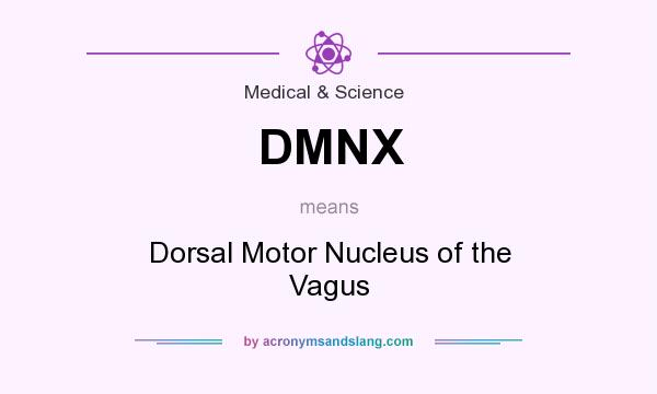 What does DMNX mean? It stands for Dorsal Motor Nucleus of the Vagus