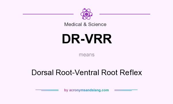 What does DR-VRR mean? It stands for Dorsal Root-Ventral Root Reflex