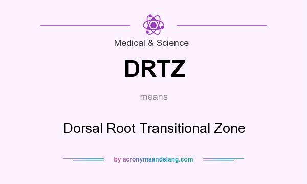 What does DRTZ mean? It stands for Dorsal Root Transitional Zone