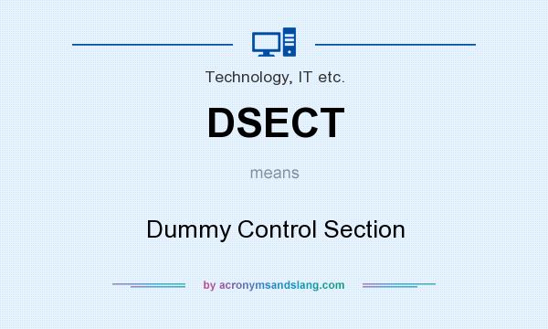 What does DSECT mean? It stands for Dummy Control Section