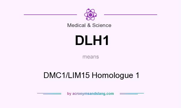 What does DLH1 mean? It stands for DMC1/LIM15 Homologue 1