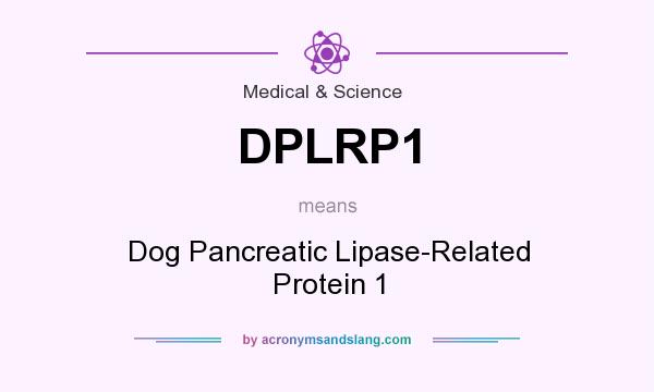 What does DPLRP1 mean? It stands for Dog Pancreatic Lipase-Related Protein 1