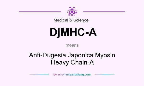 What does DjMHC-A mean? It stands for Anti-Dugesia Japonica Myosin Heavy Chain-A