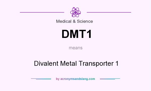 What does DMT1 mean? It stands for Divalent Metal Transporter 1