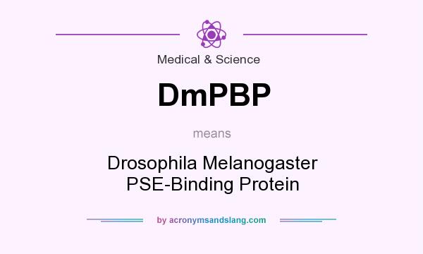 What does DmPBP mean? It stands for Drosophila Melanogaster PSE-Binding Protein