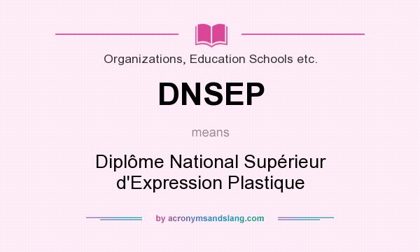 What does DNSEP mean? It stands for Diplôme National Supérieur d`Expression Plastique