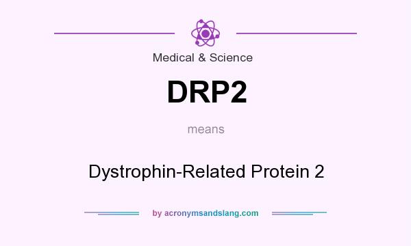 What does DRP2 mean? It stands for Dystrophin-Related Protein 2