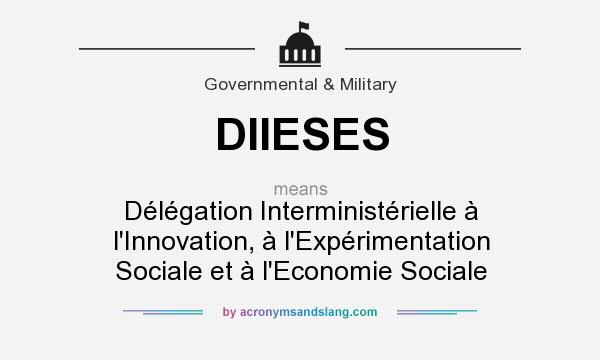 What does DIIESES mean? It stands for Délégation Interministérielle à l`Innovation, à l`Expérimentation Sociale et à l`Economie Sociale