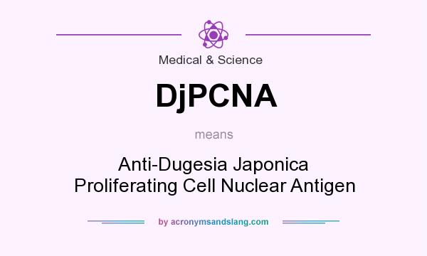 What does DjPCNA mean? It stands for Anti-Dugesia Japonica Proliferating Cell Nuclear Antigen