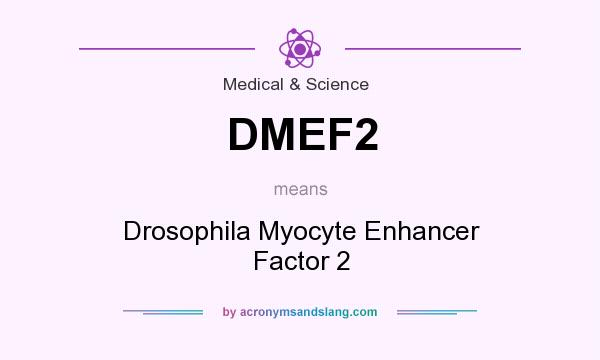 What does DMEF2 mean? It stands for Drosophila Myocyte Enhancer Factor 2