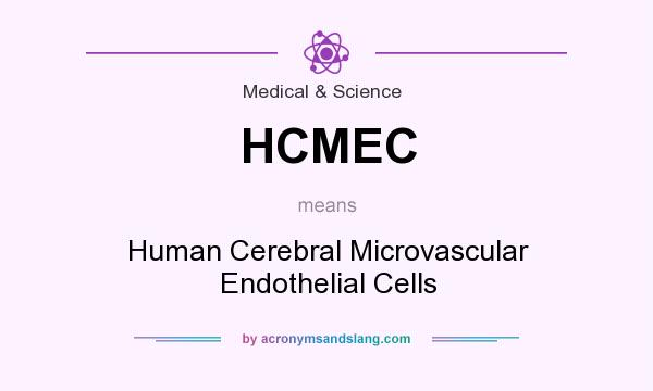 What does HCMEC mean? It stands for Human Cerebral Microvascular Endothelial Cells