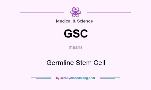 What does GSC mean? It stands for Germline Stem Cell