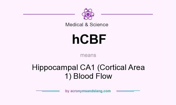 What does hCBF mean? It stands for Hippocampal CA1 (Cortical Area 1) Blood Flow