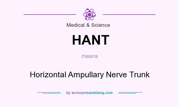 What does HANT mean? It stands for Horizontal Ampullary Nerve Trunk