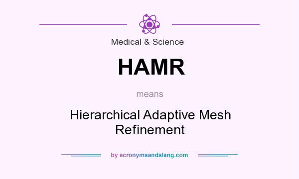What does HAMR mean? It stands for Hierarchical Adaptive Mesh Refinement