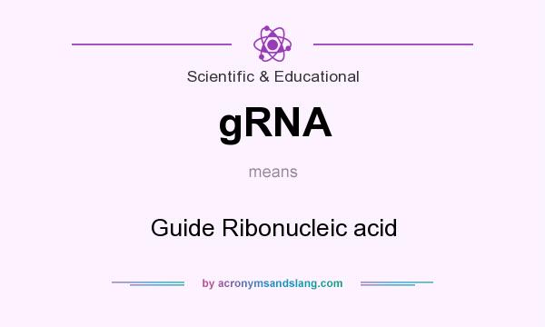 What does gRNA mean? It stands for Guide Ribonucleic acid