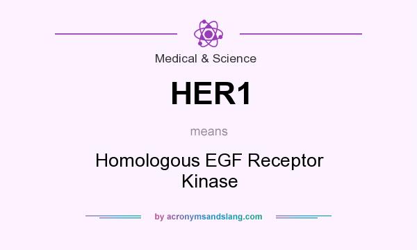 What does HER1 mean? It stands for Homologous EGF Receptor Kinase