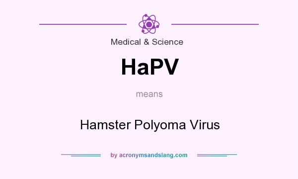 What does HaPV mean? It stands for Hamster Polyoma Virus