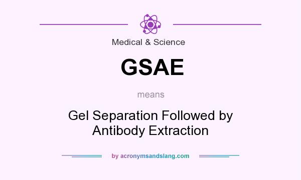 What does GSAE mean? It stands for Gel Separation Followed by Antibody Extraction