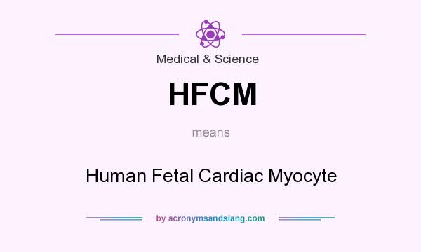 What does HFCM mean? It stands for Human Fetal Cardiac Myocyte