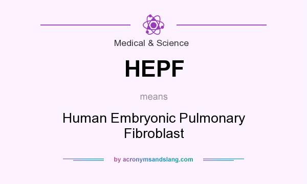 What does HEPF mean? It stands for Human Embryonic Pulmonary Fibroblast