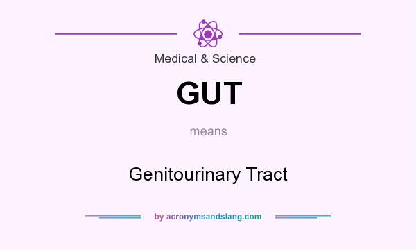 What does GUT mean? It stands for Genitourinary Tract