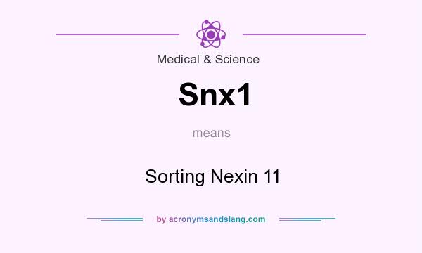 What does Snx1 mean? It stands for Sorting Nexin 11