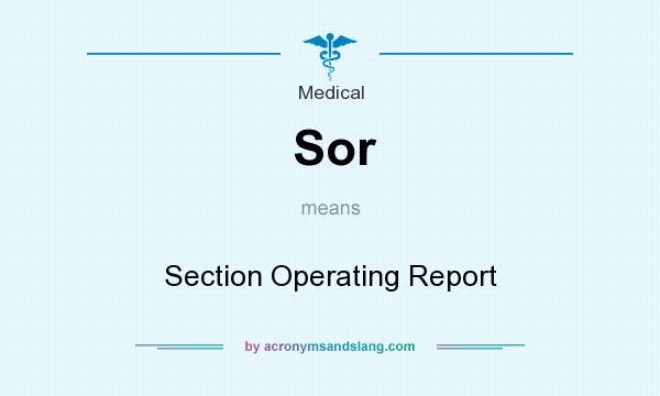 What does Sor mean? It stands for Section Operating Report
