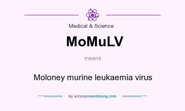 What does MoMuLV mean? It stands for Moloney murine leukaemia virus