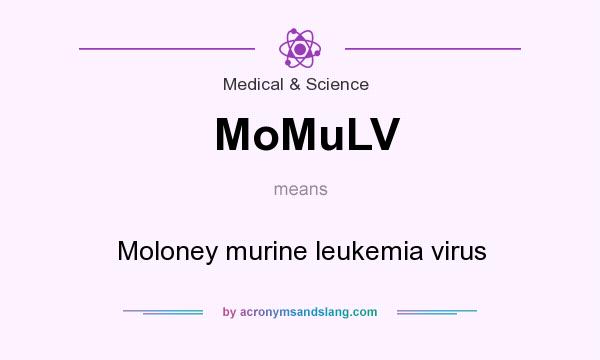 What does MoMuLV mean? It stands for Moloney murine leukemia virus