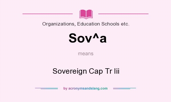 What does Sov^a mean? It stands for Sovereign Cap Tr Iii