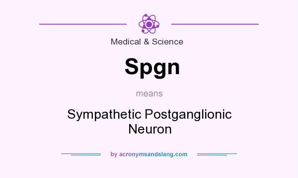 What does Spgn mean? It stands for Sympathetic Postganglionic Neuron