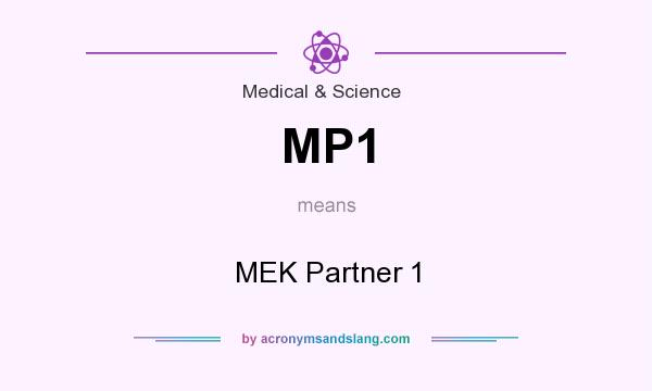 What does MP1 mean? It stands for MEK Partner 1