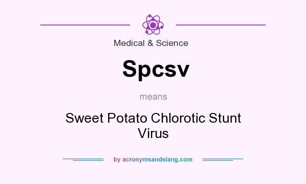 What does Spcsv mean? It stands for Sweet Potato Chlorotic Stunt Virus