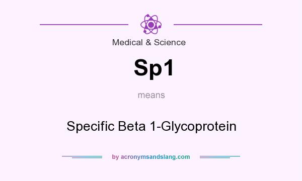 What does Sp1 mean? It stands for Specific Beta 1-Glycoprotein