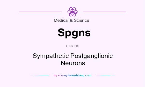 What does Spgns mean? It stands for Sympathetic Postganglionic Neurons