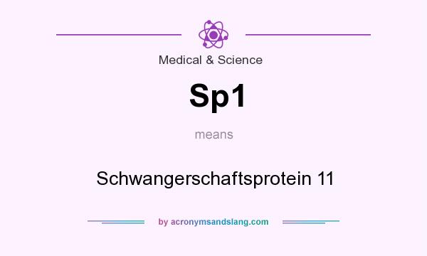 What does Sp1 mean? It stands for Schwangerschaftsprotein 11