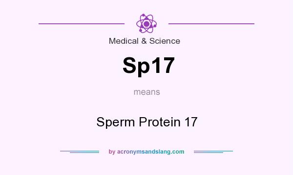 What does Sp17 mean? It stands for Sperm Protein 17