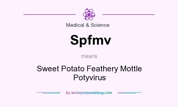 What does Spfmv mean? It stands for Sweet Potato Feathery Mottle Potyvirus