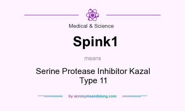 What does Spink1 mean? It stands for Serine Protease Inhibitor Kazal Type 11