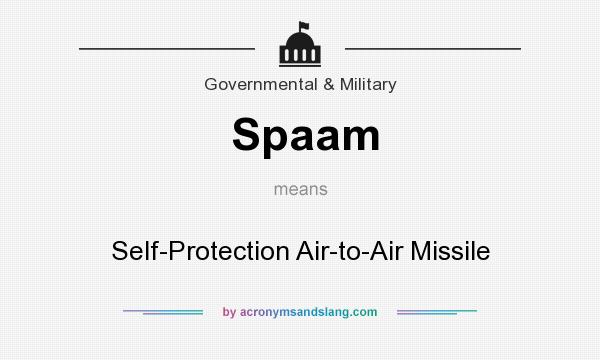 What does Spaam mean? It stands for Self-Protection Air-to-Air Missile