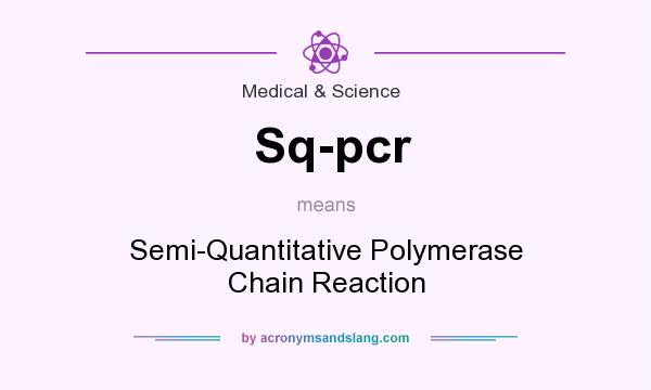 What does Sq-pcr mean? It stands for Semi-Quantitative Polymerase Chain Reaction