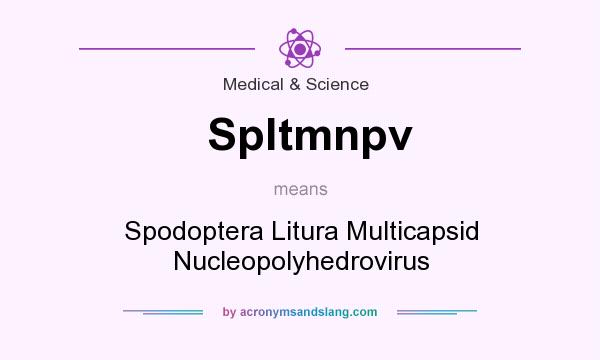 What does Spltmnpv mean? It stands for Spodoptera Litura Multicapsid Nucleopolyhedrovirus
